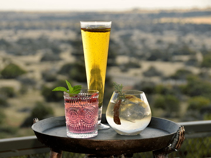 Explore Wine & Dine